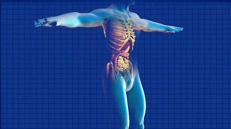 Gastroenterologie Gastroenterologie